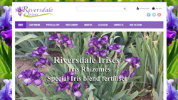 Riversdale Irises