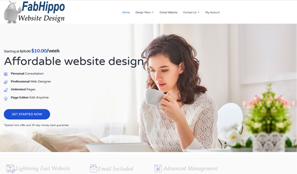 FabHippo Web Design